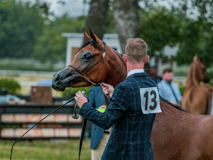 the groom is grooming his horse at the stable