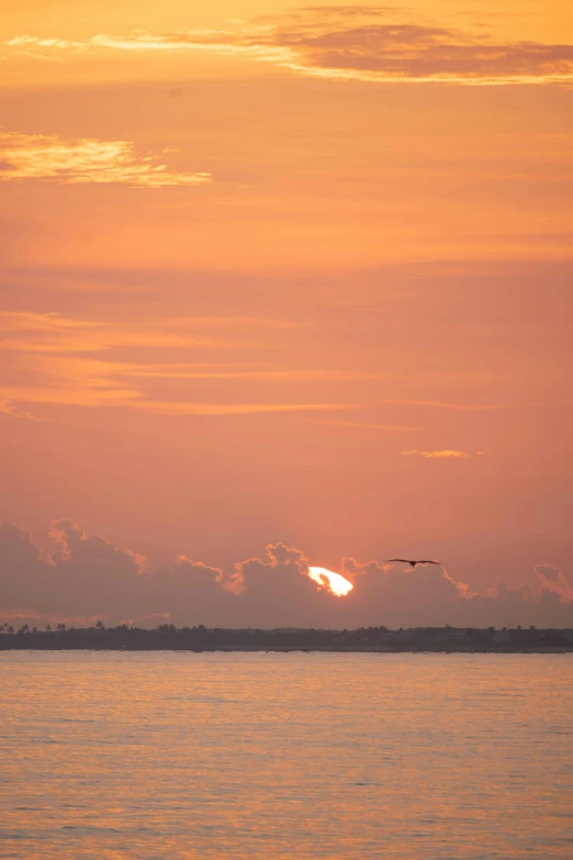 an airplane flying in the sky as the sun sets