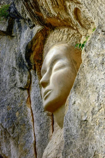 head in the middle of a boulder cliff