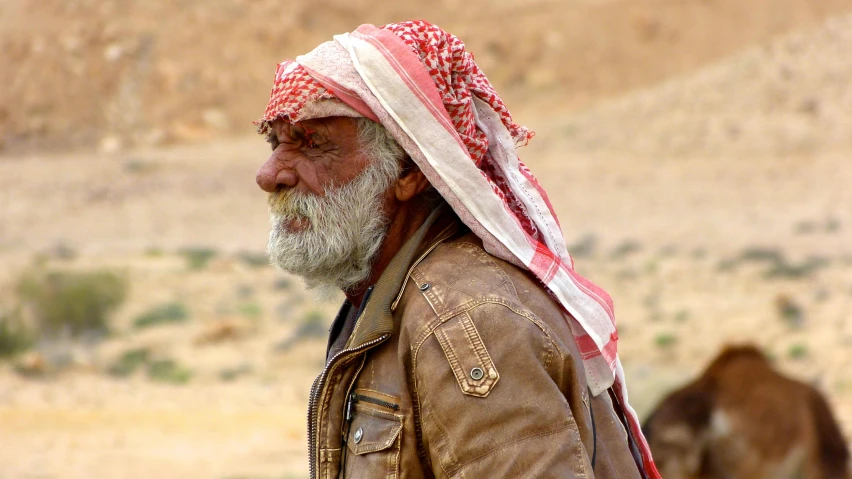 a man standing outside in front of a camel