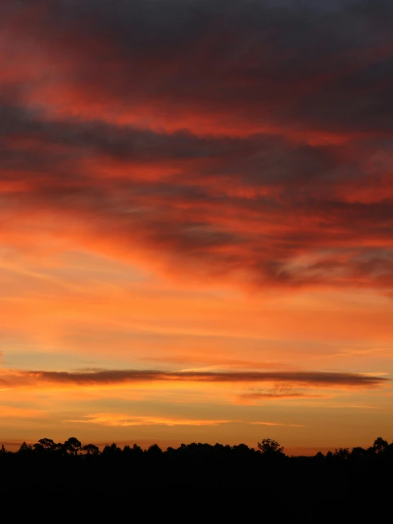 the beautiful sunset over a forest in the countryside