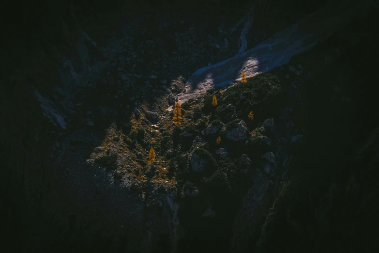 an aerial s of a forest area with a lot of trees