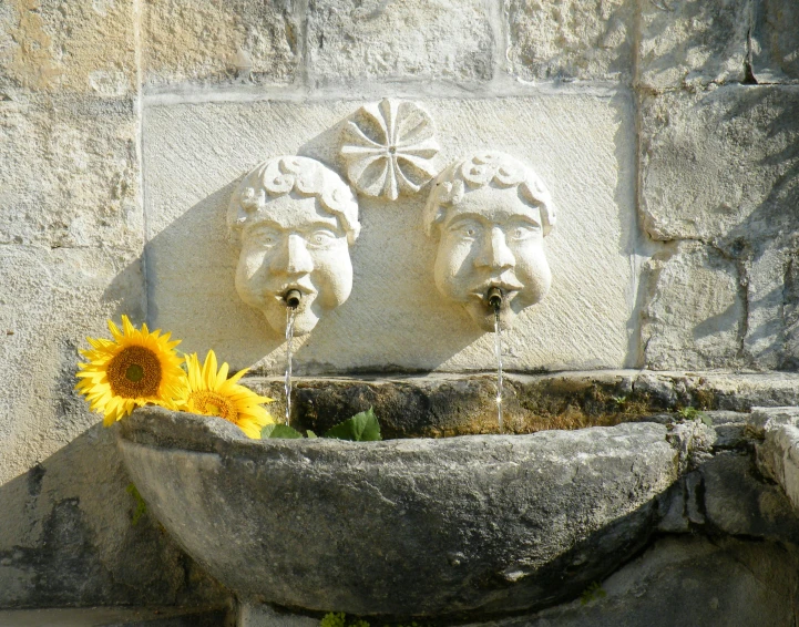 a vase with water and flowers on top of a table