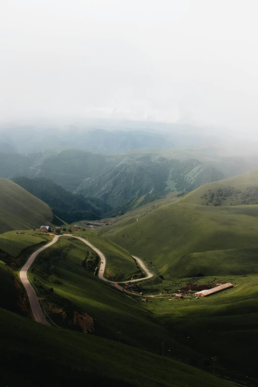 an area of green with a small dirt road going through it