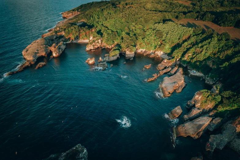 an aerial view of a mountain with a sea and forested area