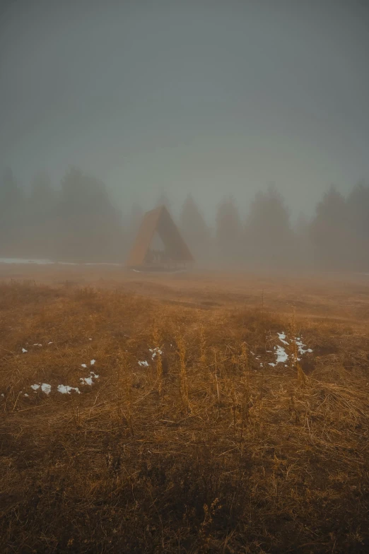 a field with trees on a foggy day