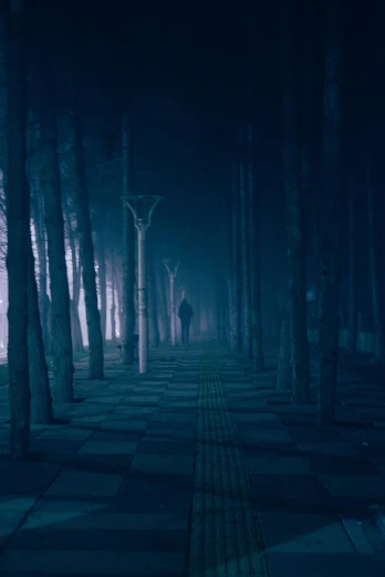 a dark night scene with a creepy tree lined path