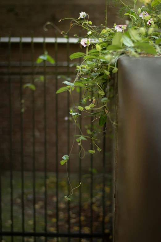 a tall potted plant sitting on top of a metal barrier