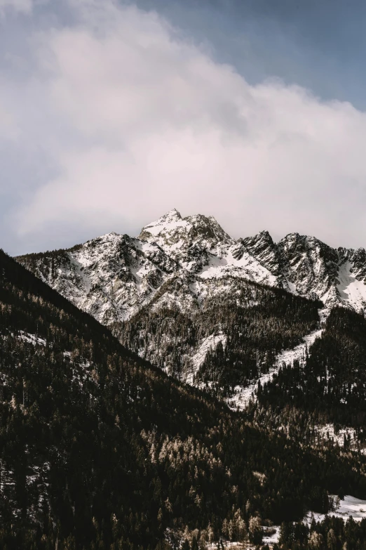 snow covered mountains and some trees on a cloudy day