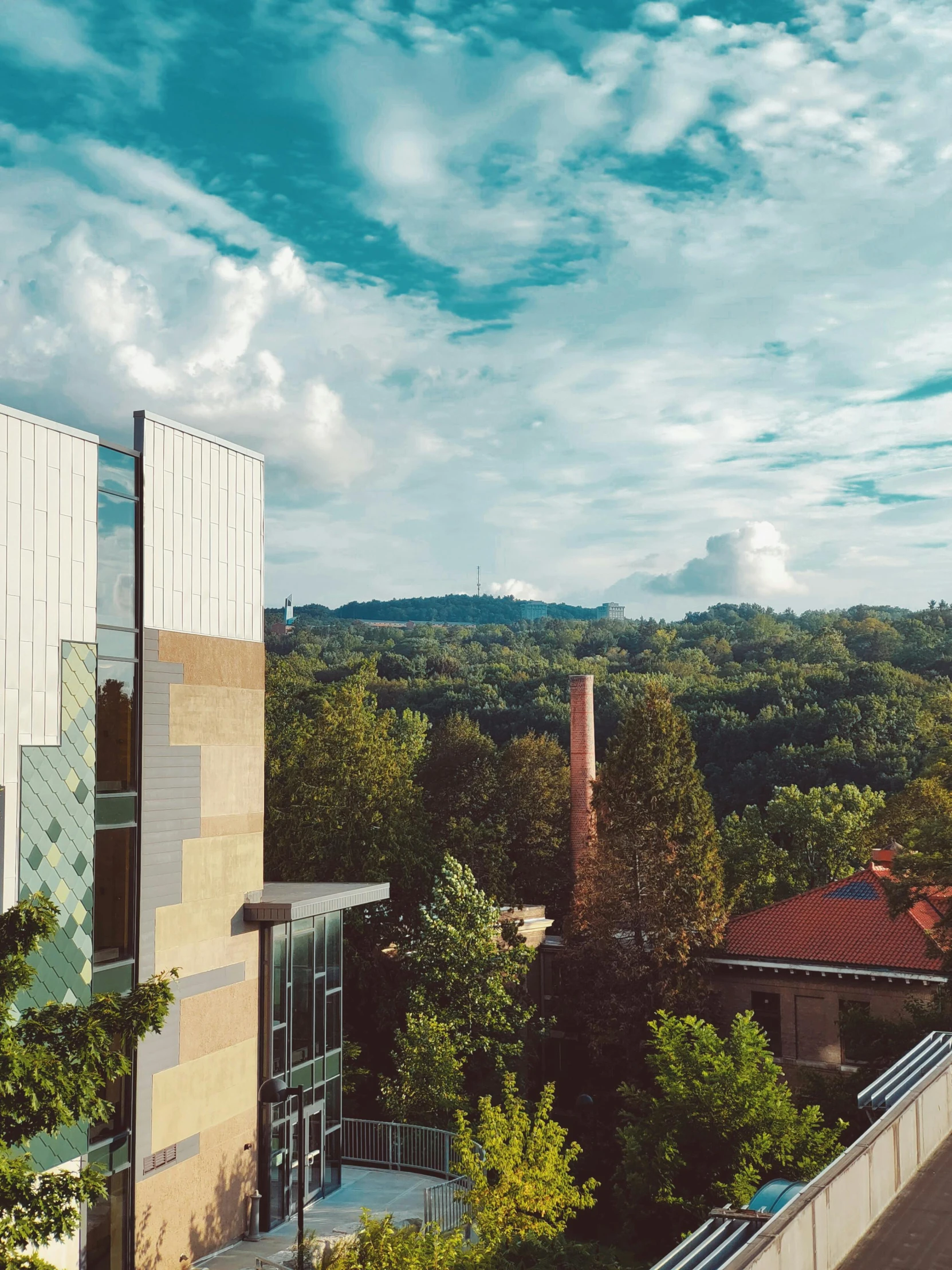 a view from a very tall building of the city's trees