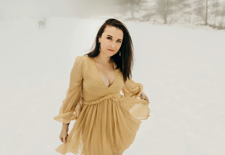 a young woman posing in the snow wearing an elegant dress