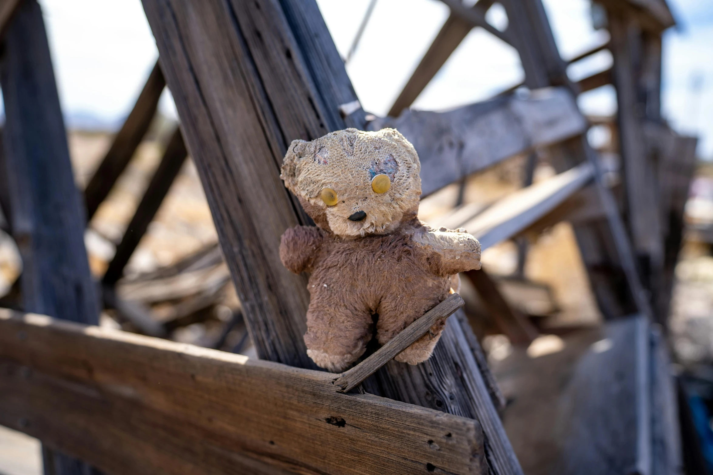 the teddy bear is propped up against the wood