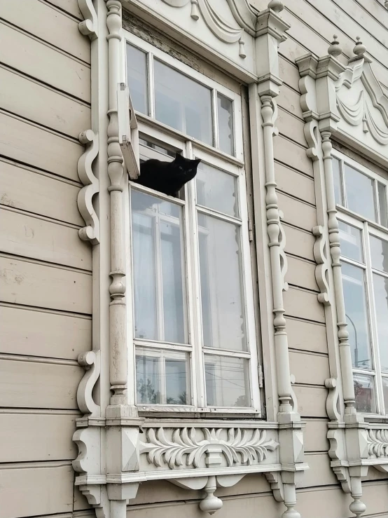 a black cat that is laying on the windowsill