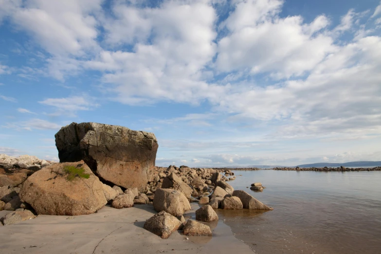 a beach area with rocks and green plants in the sand