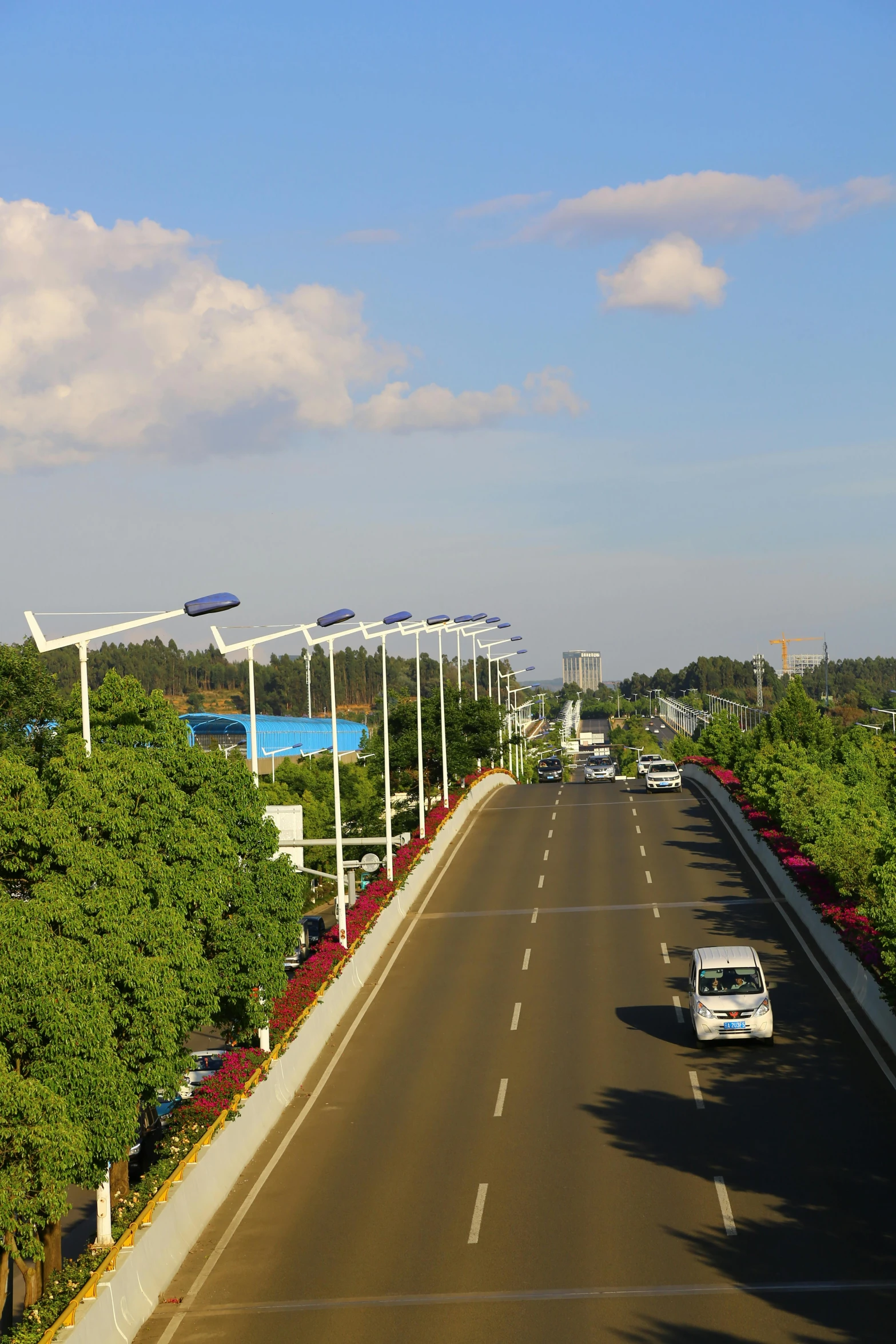 a truck drives on an empty street between trees