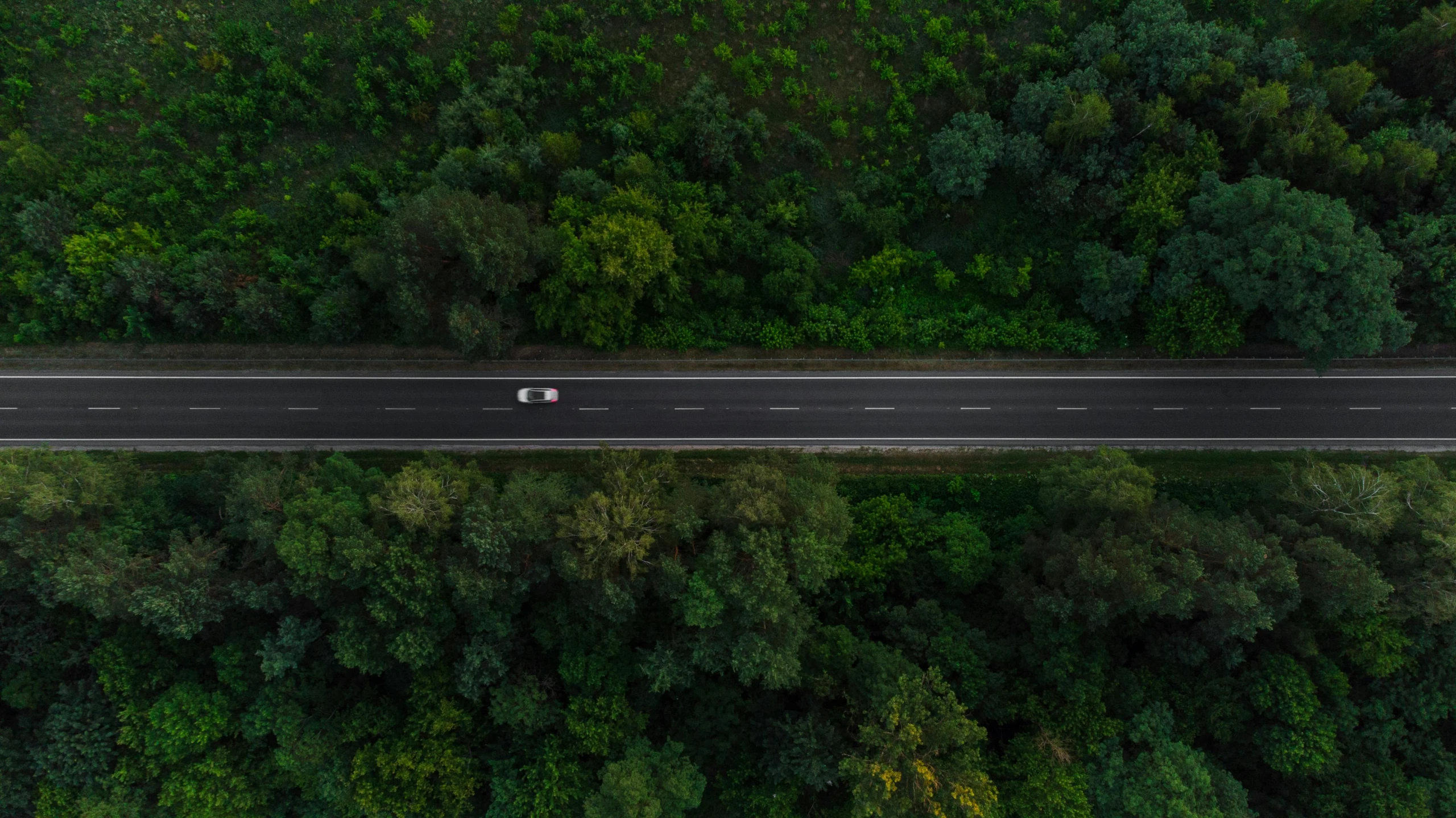 an aerial view of a highway surrounded by trees