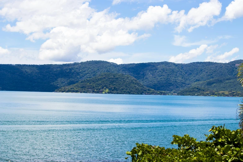 a large body of water sitting next to some trees