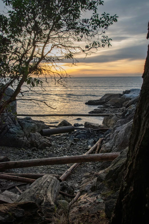 a bench overlooking the ocean on a beach