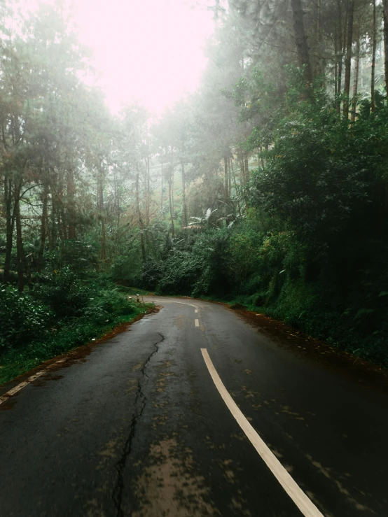 the road is empty of cars in front of it