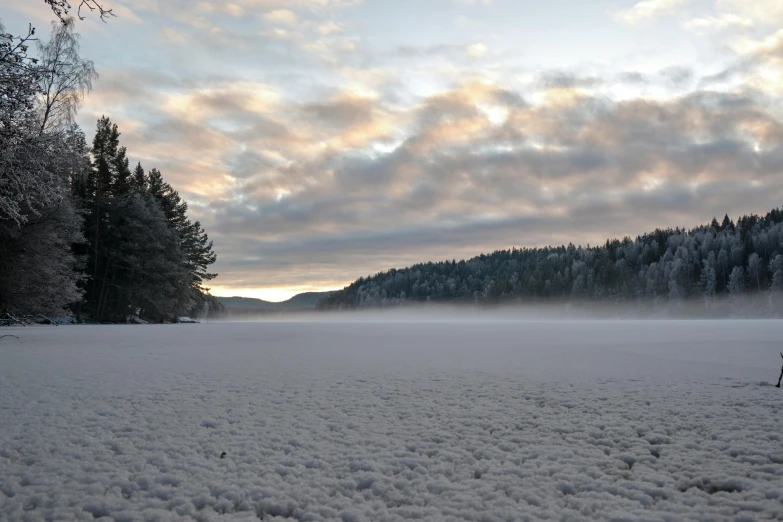 the man is skiing on snow covered ground near some trees