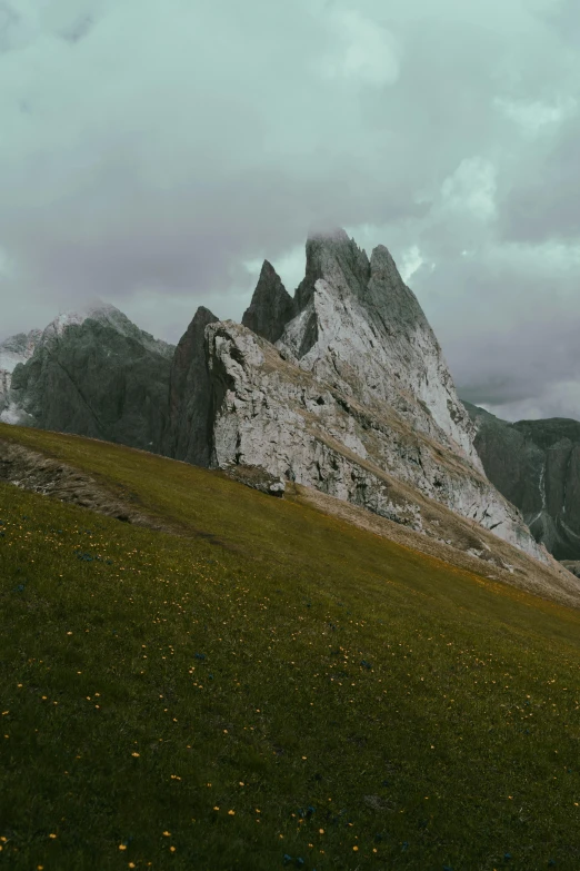 the grassy mountains are all covered with flowers