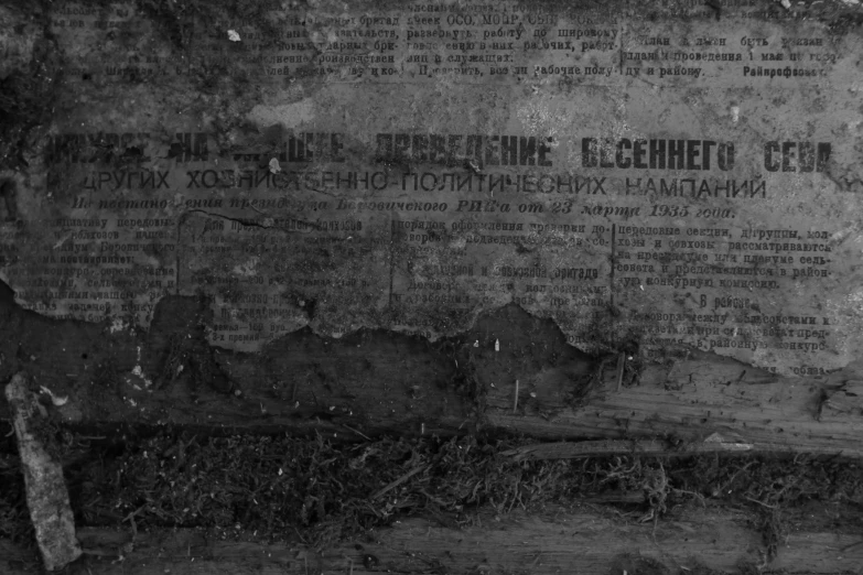 the text of a wall with old newspapers