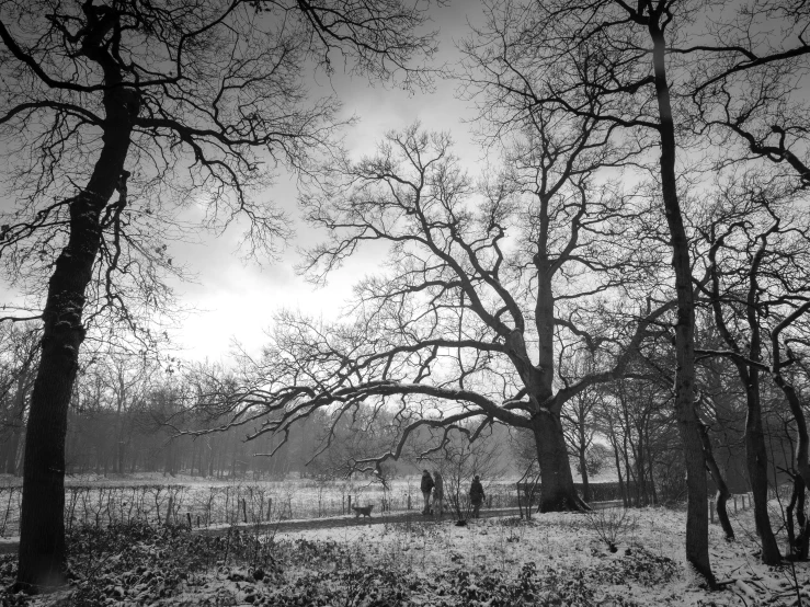 people out in a field with their walking gear