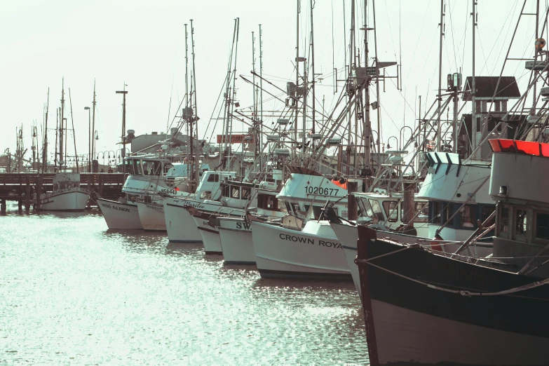 several boats docked at the dock and a few people on a boat