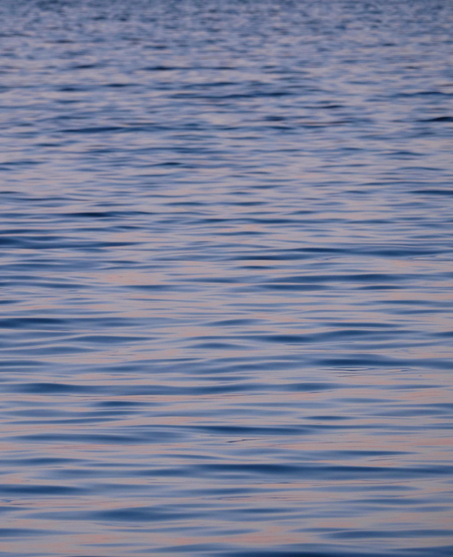 a bird flying over water with a body of blue water