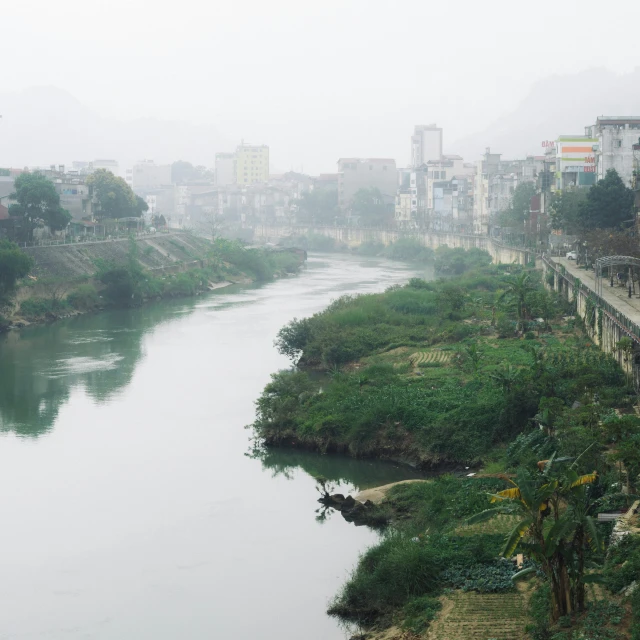 fog in the morning, a river is shown on a misty day