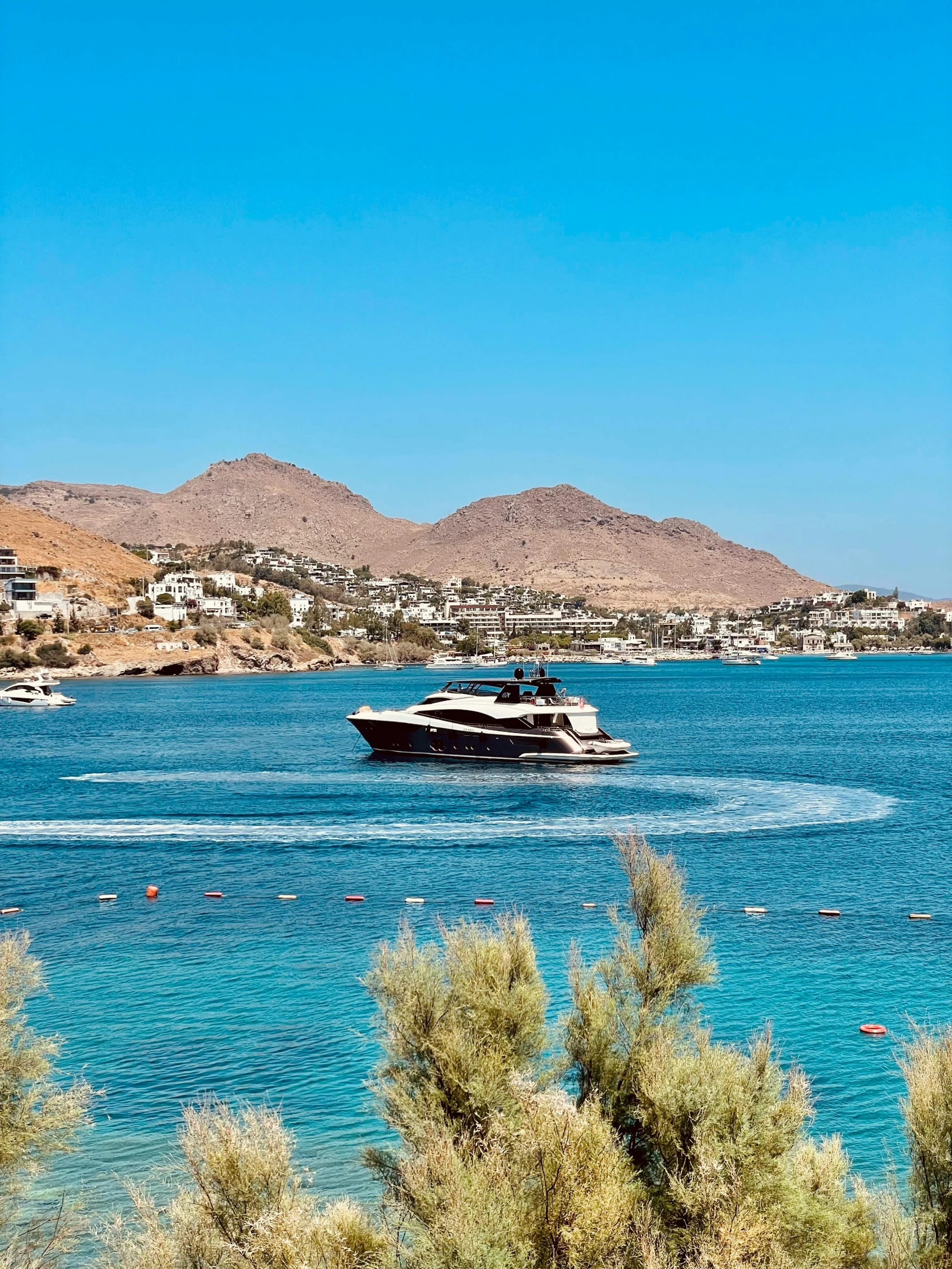 a boat that is on the water near bushes