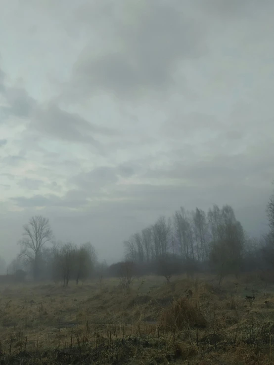 there is an empty field with trees in the fog