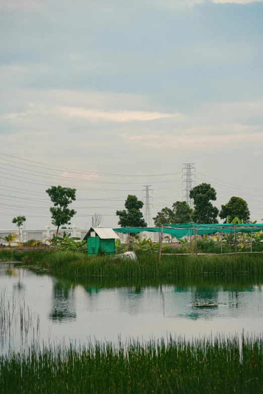 a house with a green roof and water