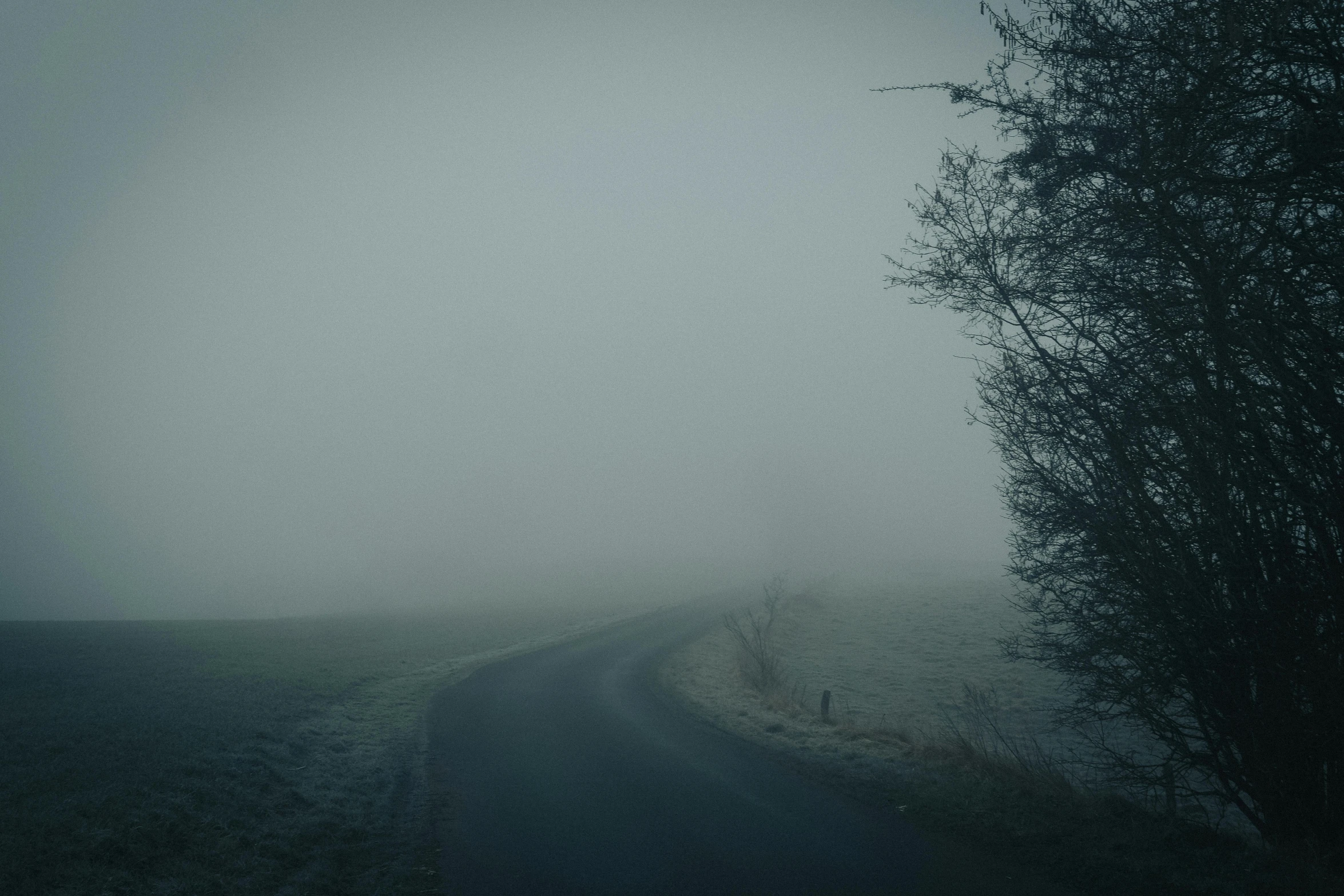 a car is driving down a road with foggy weather