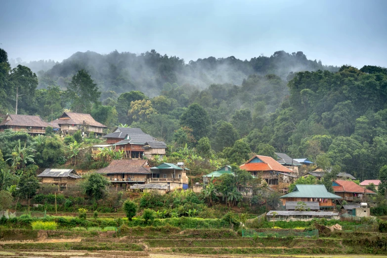 the town on top of the hill surrounded by trees