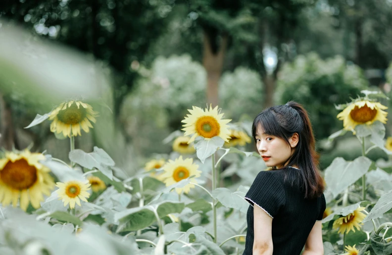 a woman is posing among sunflowers and tall trees