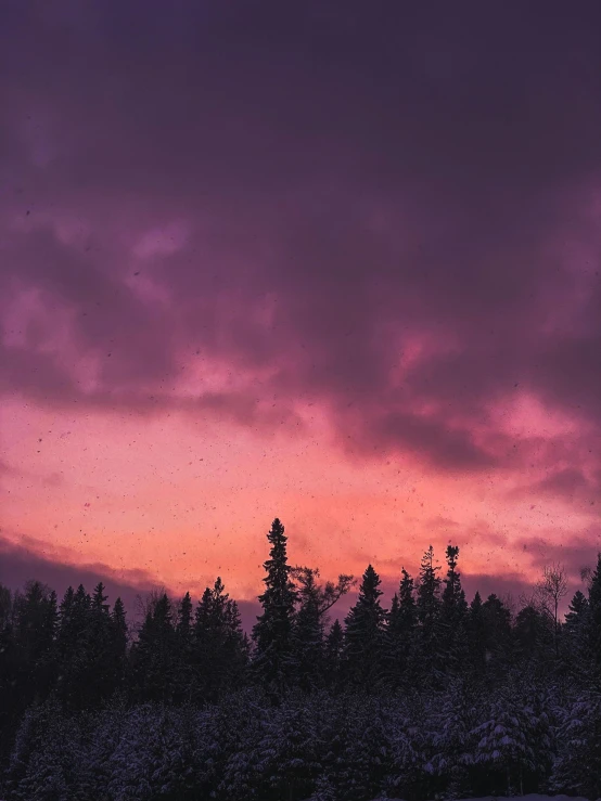 some trees and clouds in the distance during a purple sunrise