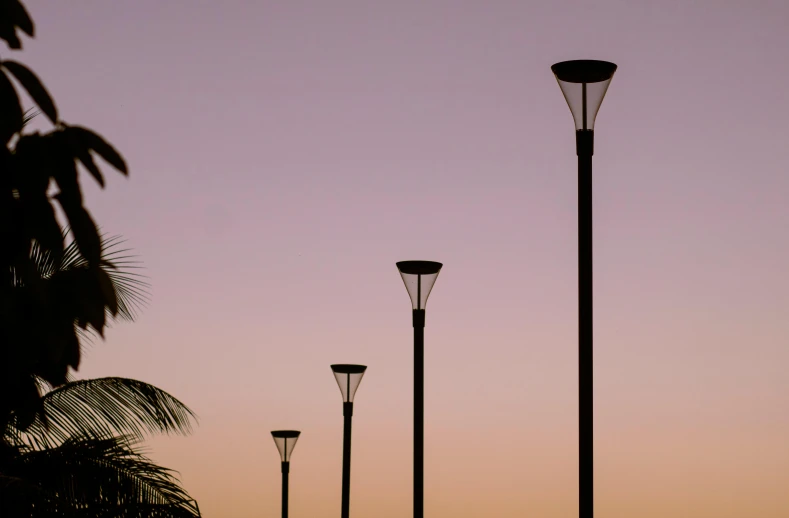 a couple of lights are next to some trees