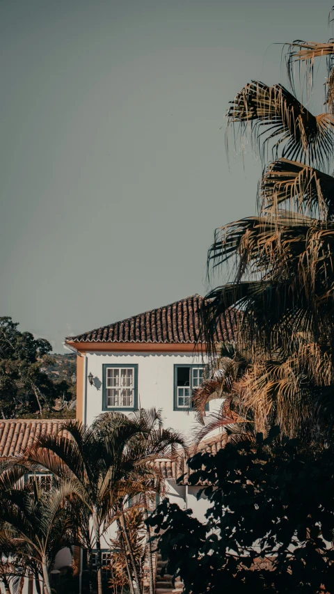 this is a po of an apartment with palm trees