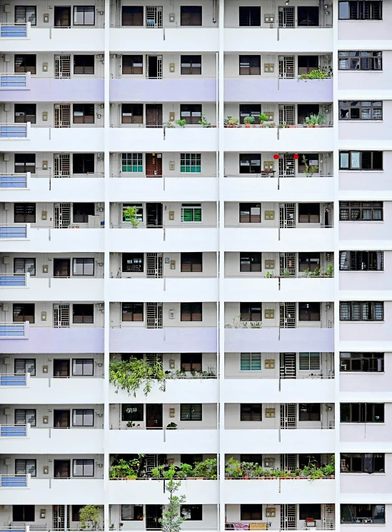 multiple windows on a tall building with some plants growing out