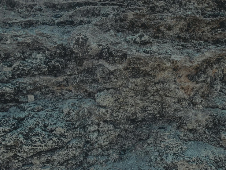 a textured area is covered in blue and brown rocks