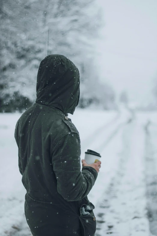 a person in the snow looking at soing