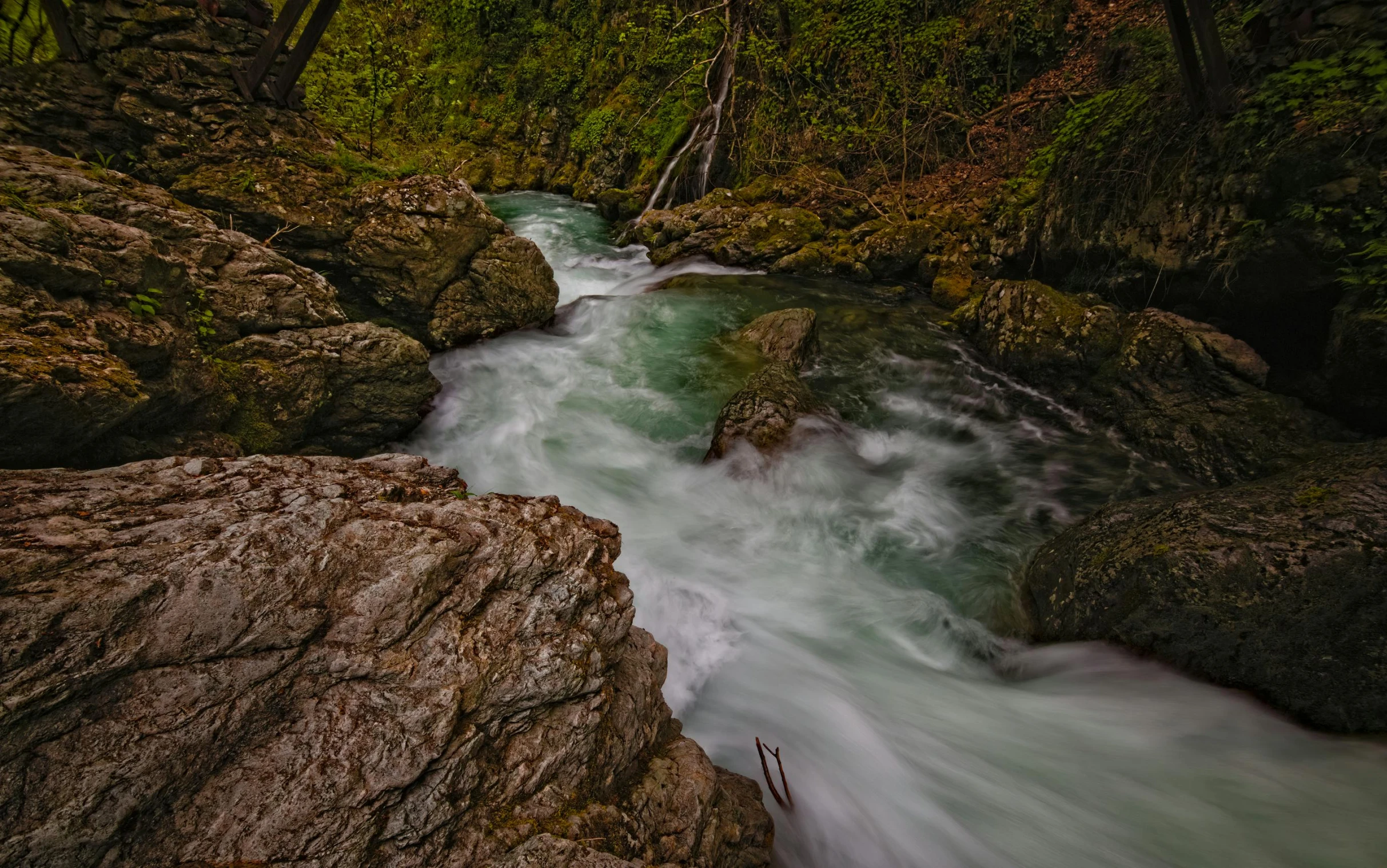 a stream flowing between rocks in a wooded area