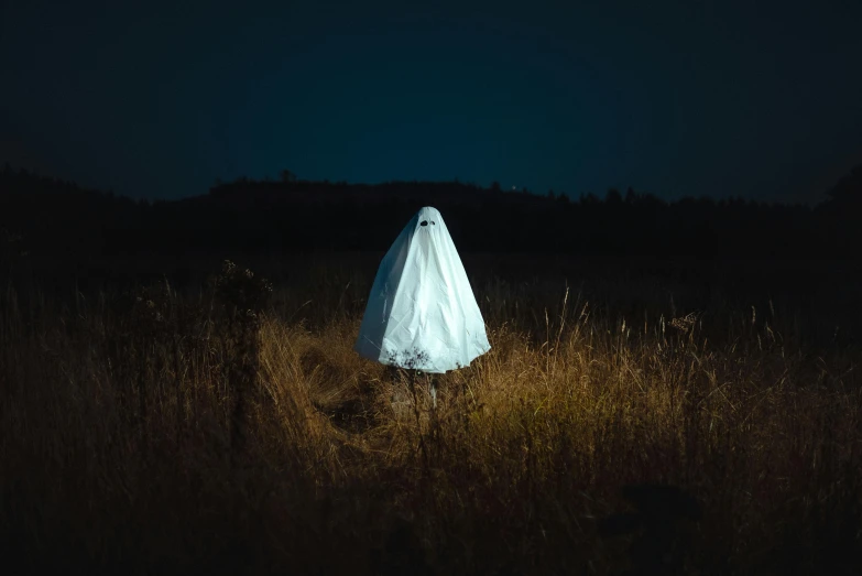 a ghost woman in a white wedding dress walking through a field with tall grass