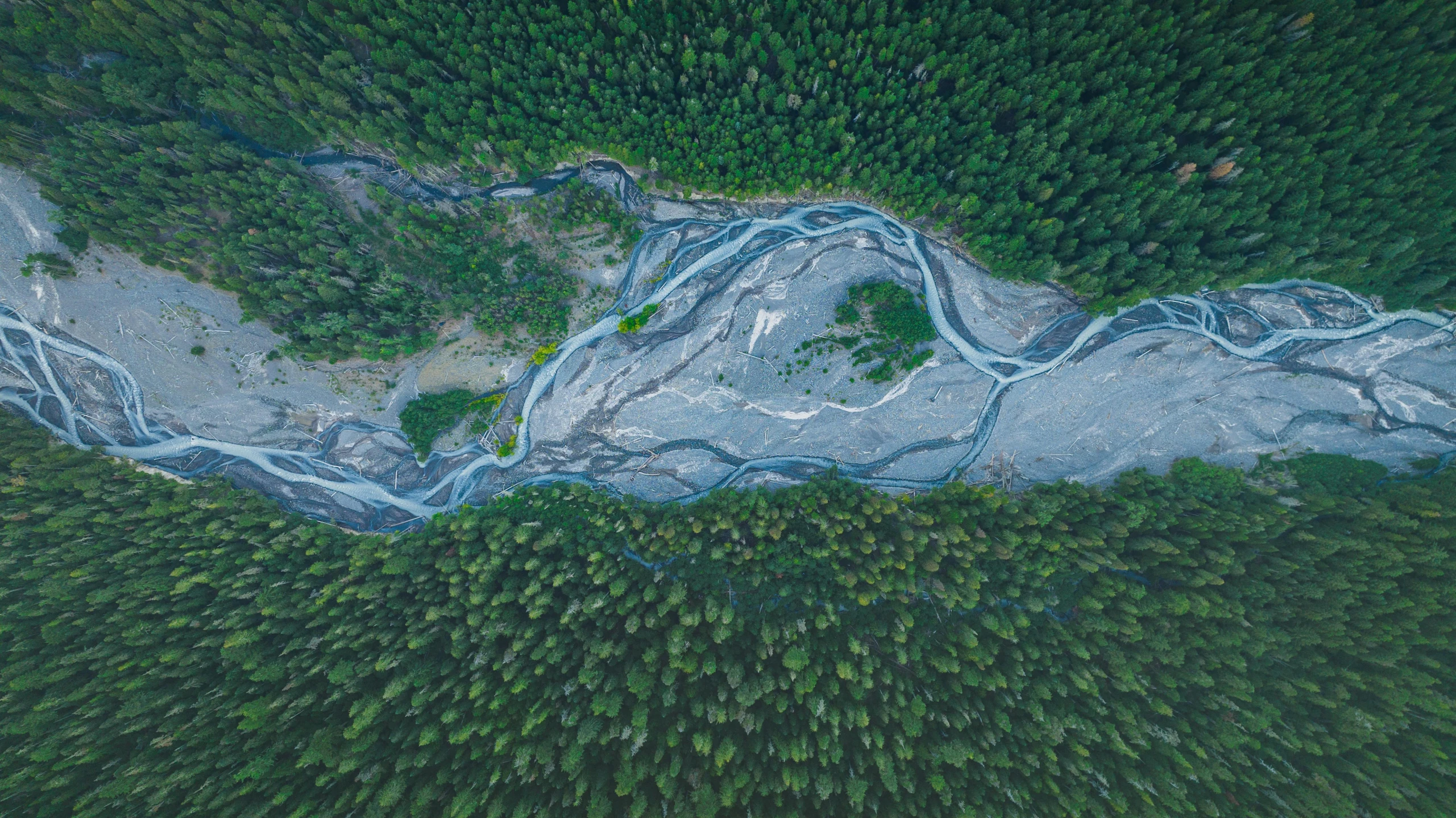 an aerial po of a river running through a forest