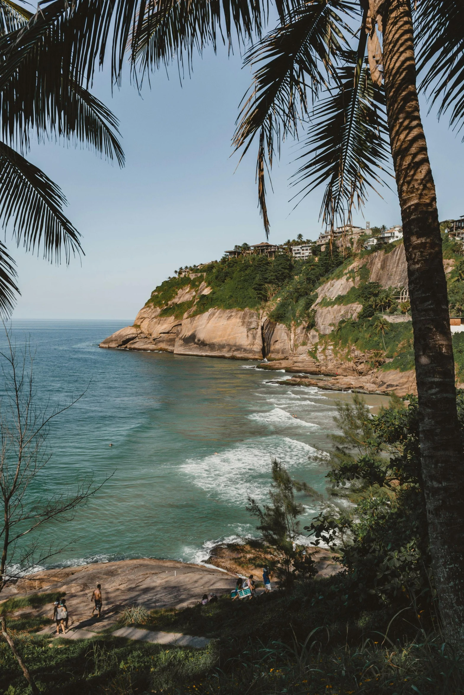 an open ocean with palm trees in the foreground