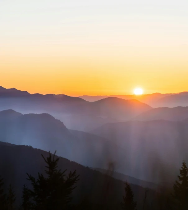 sunset over forested mountain tops with pine trees