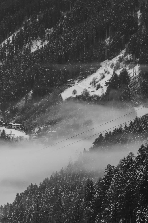 a view of the side of a ski slope in the fog