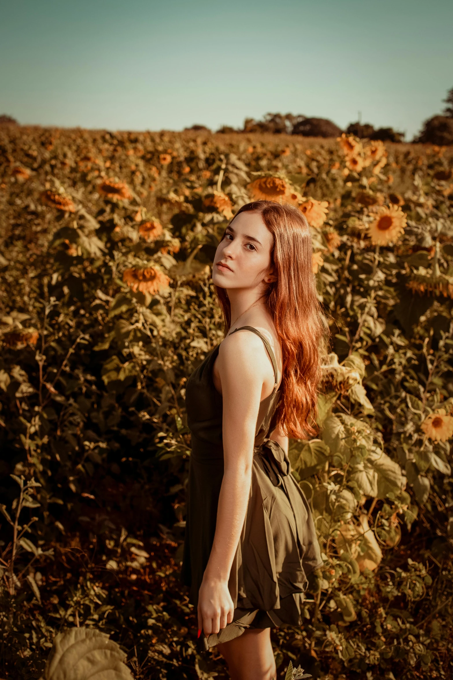 a young woman standing in a field of sunflowers