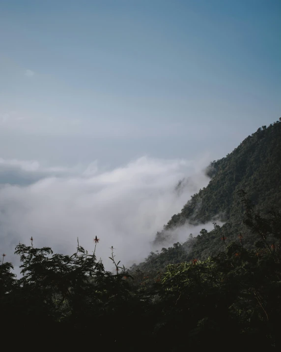 the mountain tops have a low lying layer of fog